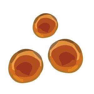drops of caramel