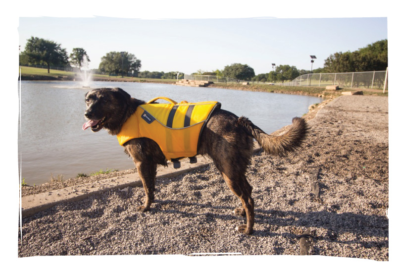 Rory swimming